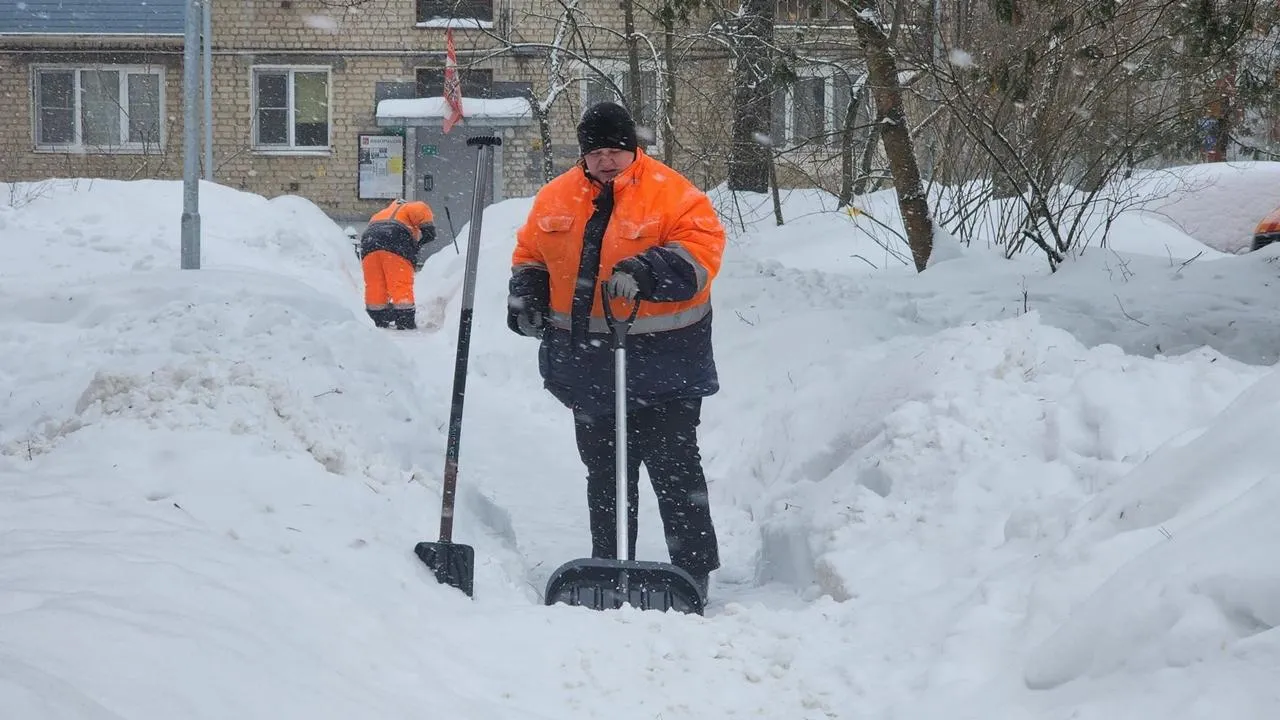 REGIONS/Анна Мороз