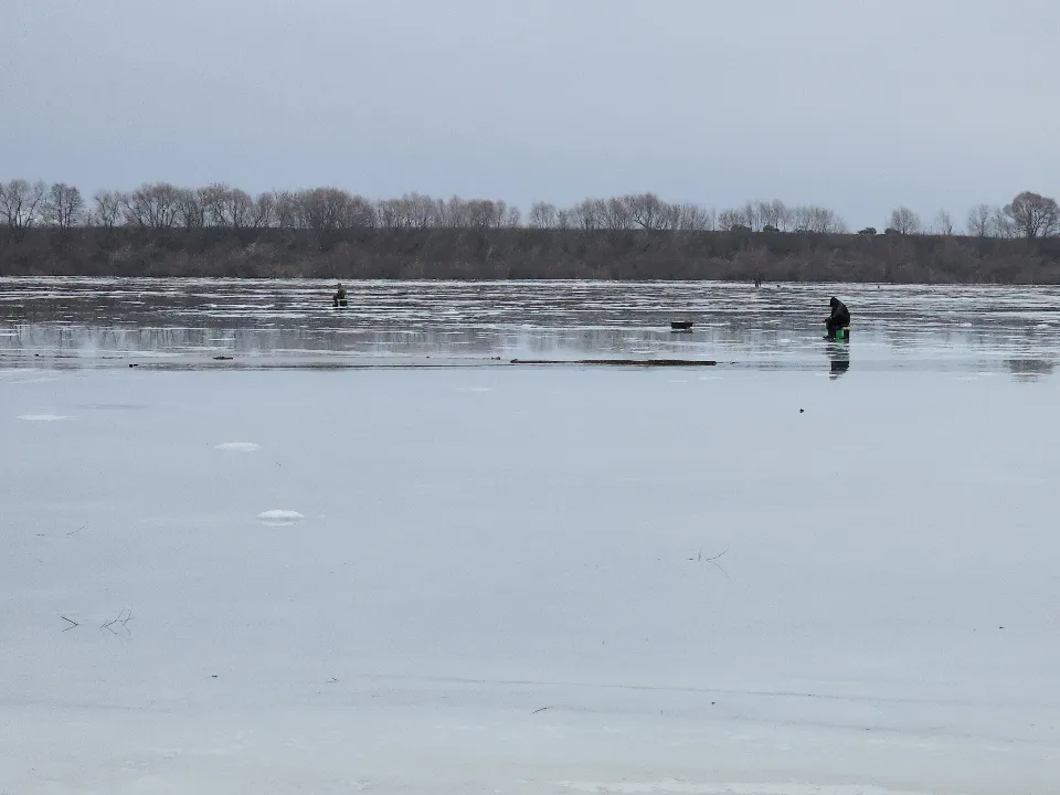 Фото: МедиаБанк Подмосковья/Иван Дубров
