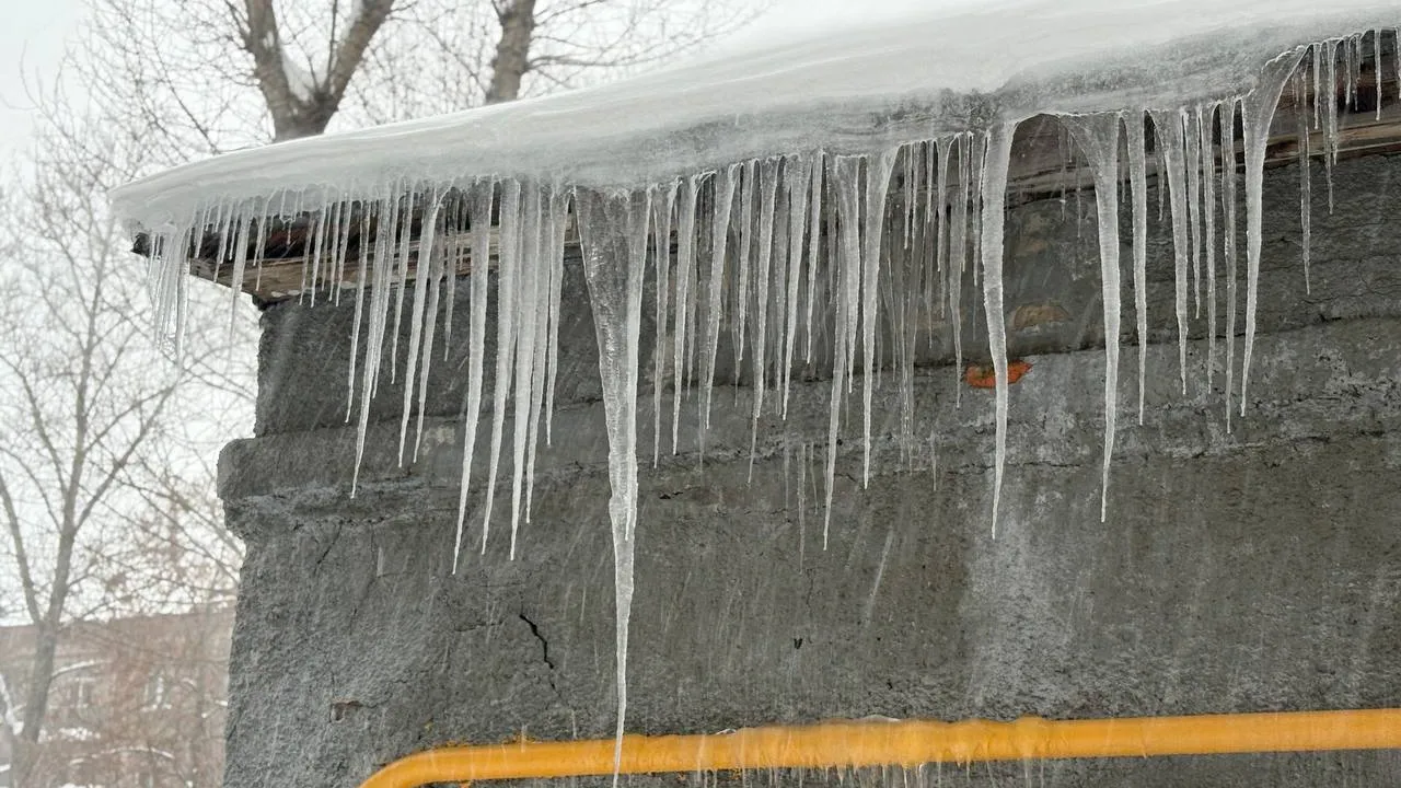 Фото: REGIONS/Полина Крачун