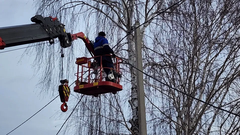 Фото: Анна Шолохова