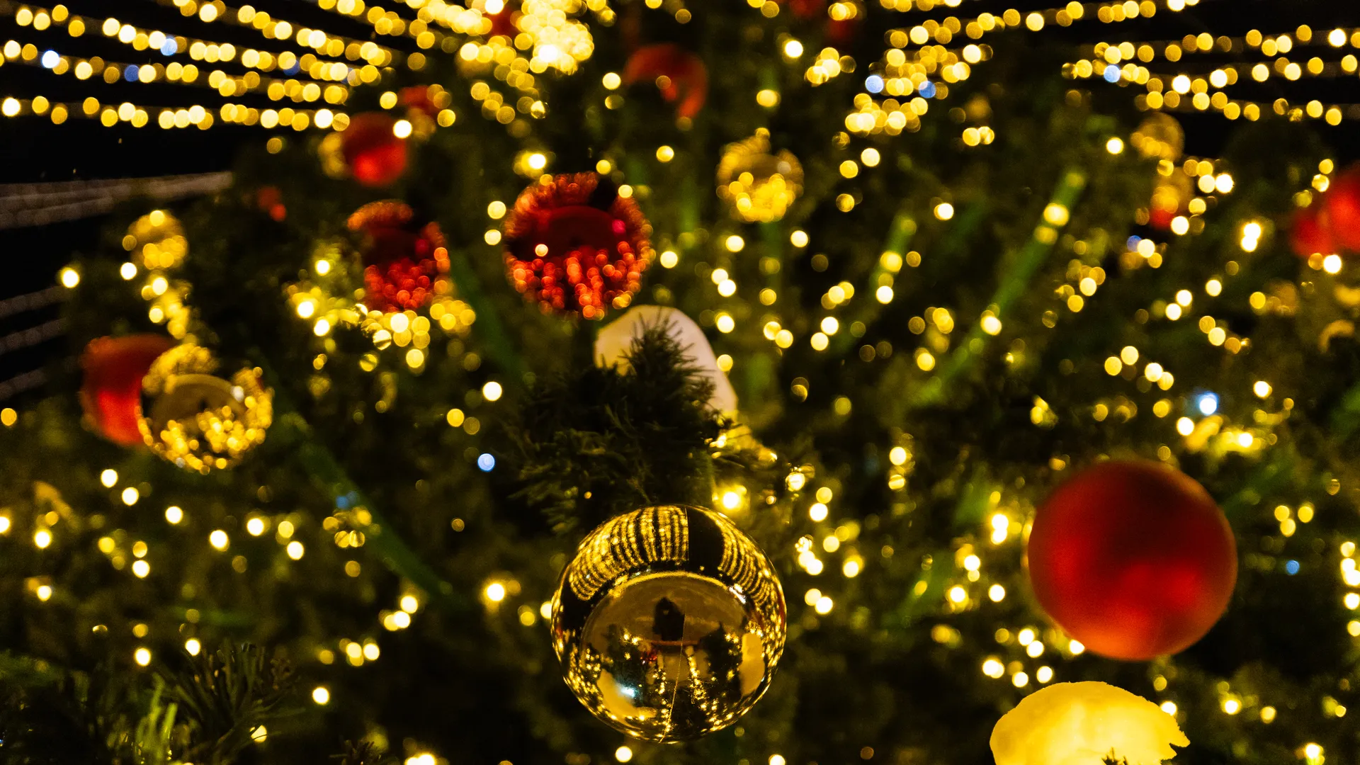 Новогодний парк Малевича в Одинцово