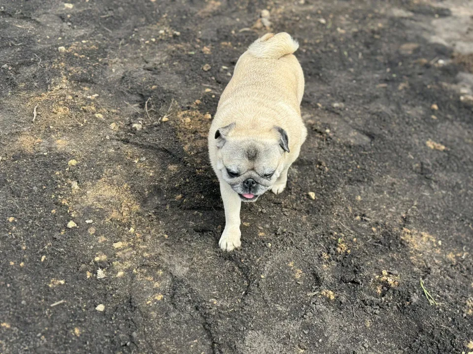 Фото: Полина Абраменко