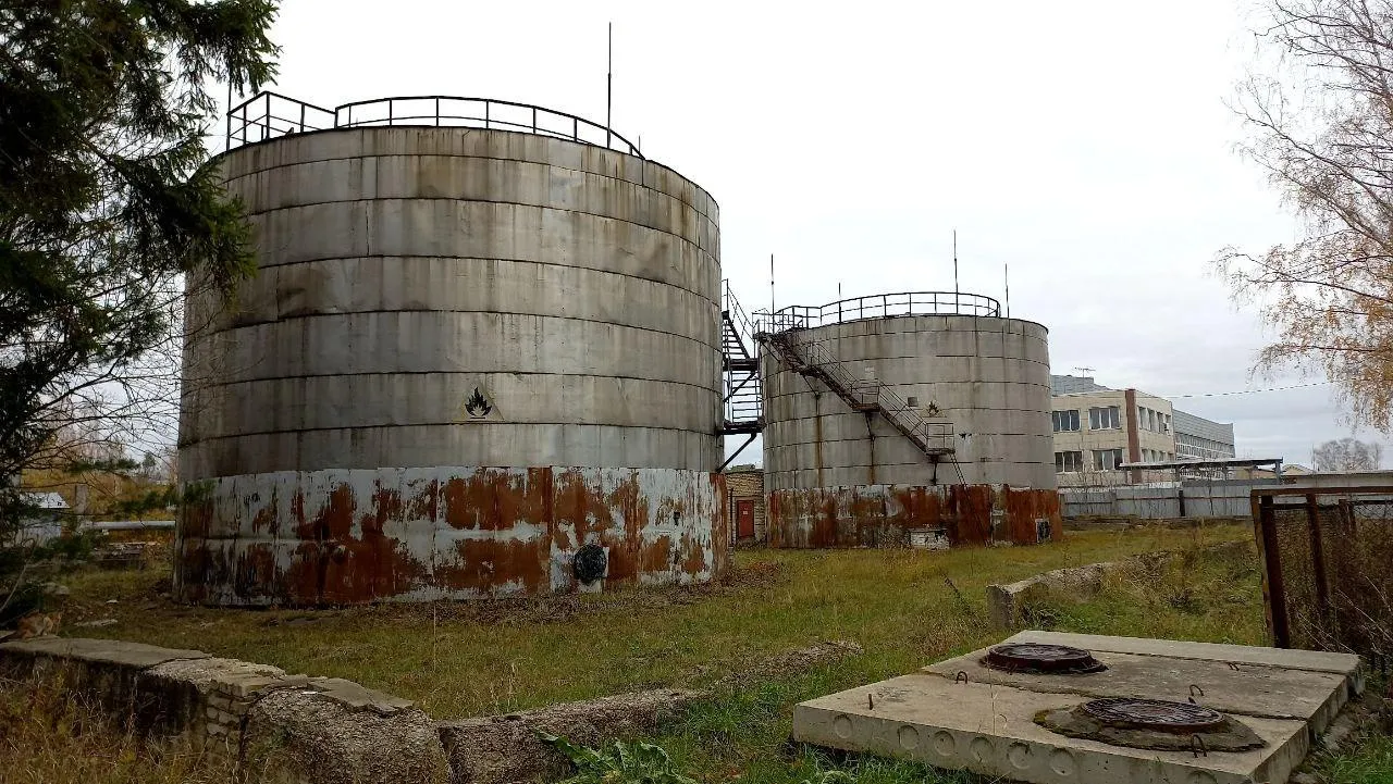 Фото: Олег Книжник