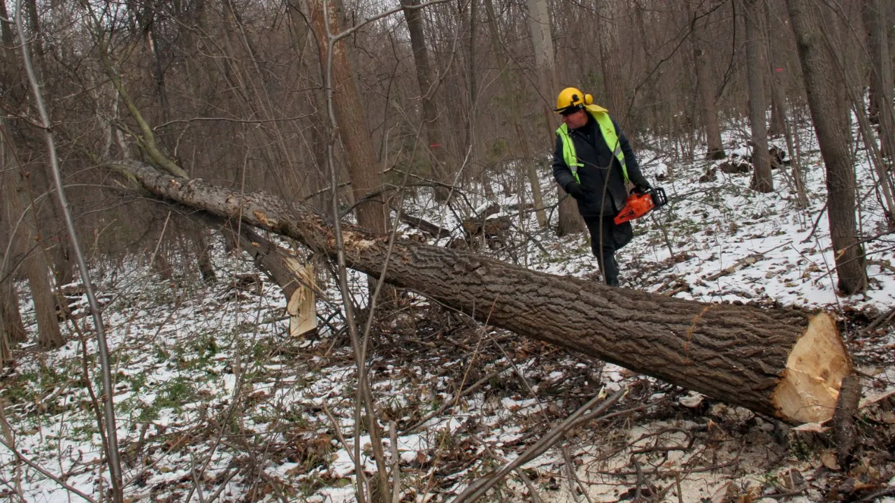 медиасток.рф