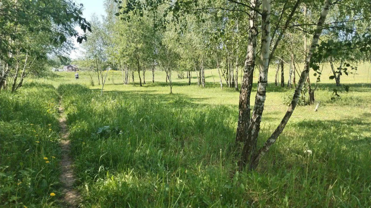 фото: Минимущеста Московской области