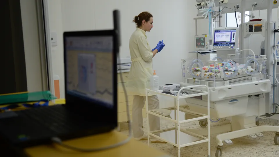 Фото: REGIONS/Нина Соколова