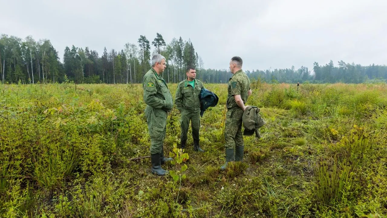Комитет лесного хозяйства Московской области