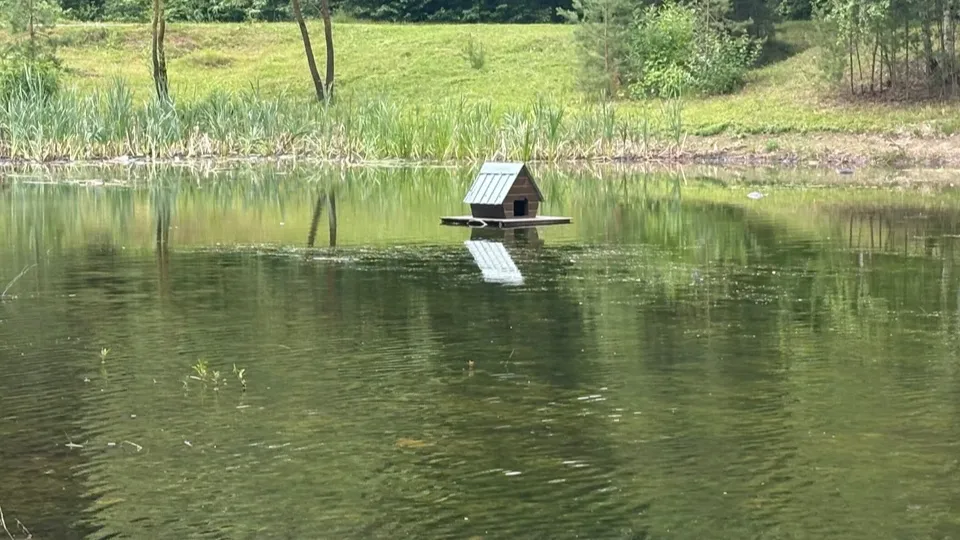 Фото: МедиаБанк Подмосковья/Анна Нестерова