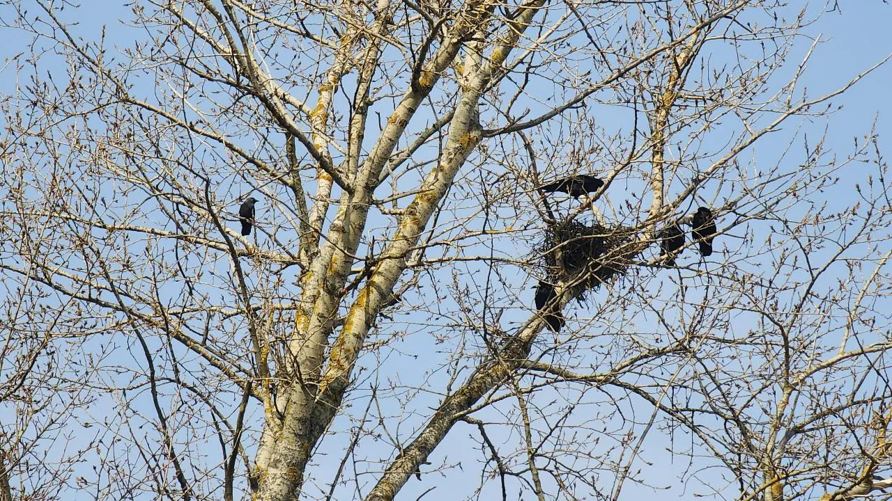 МедиаБанк Подмосковья/Мария Панина