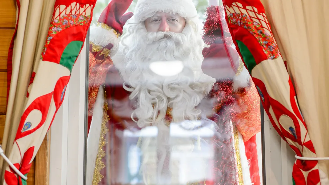 Фото: медиасток.рф