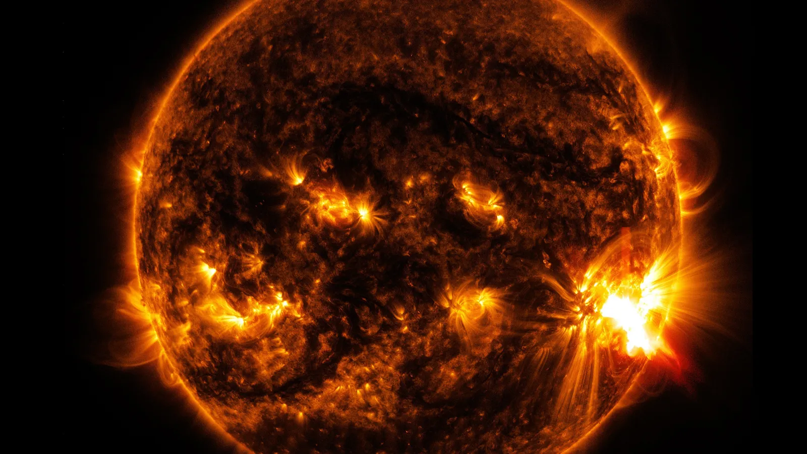 Фото: pxhere.com