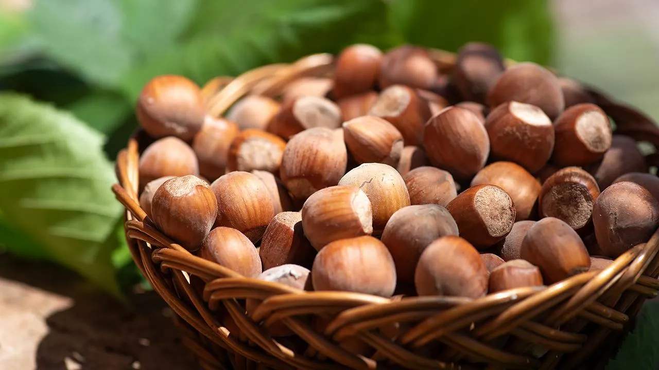 istockphoto.com