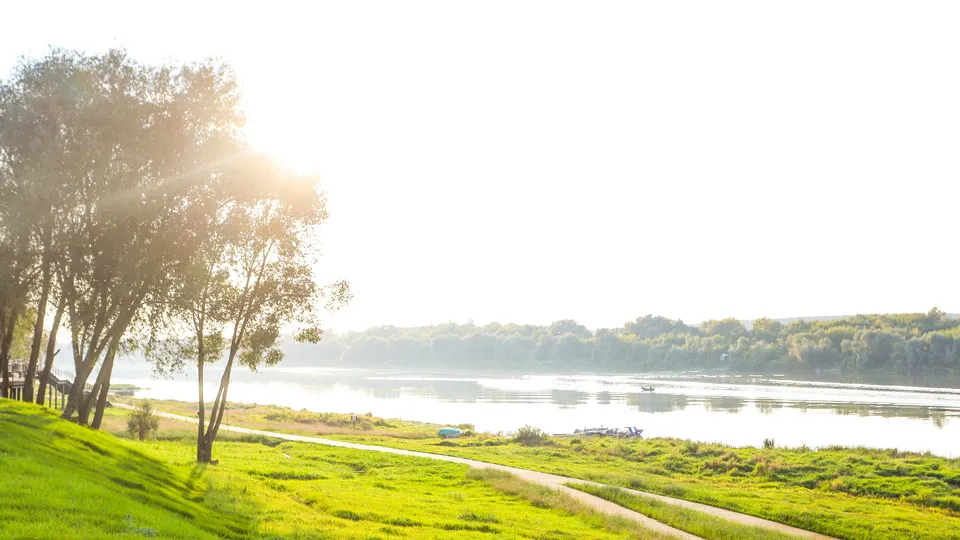 Фото: пресс-служба администрации г.о. Кашира