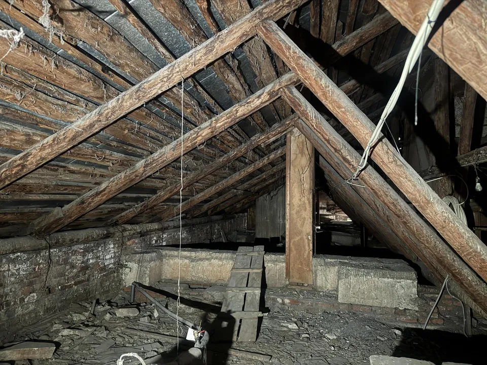 Фото: Мария Овчинникова