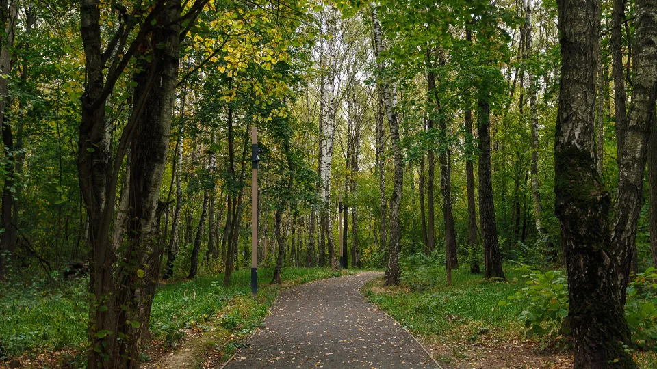 Фото: медиасток.рф