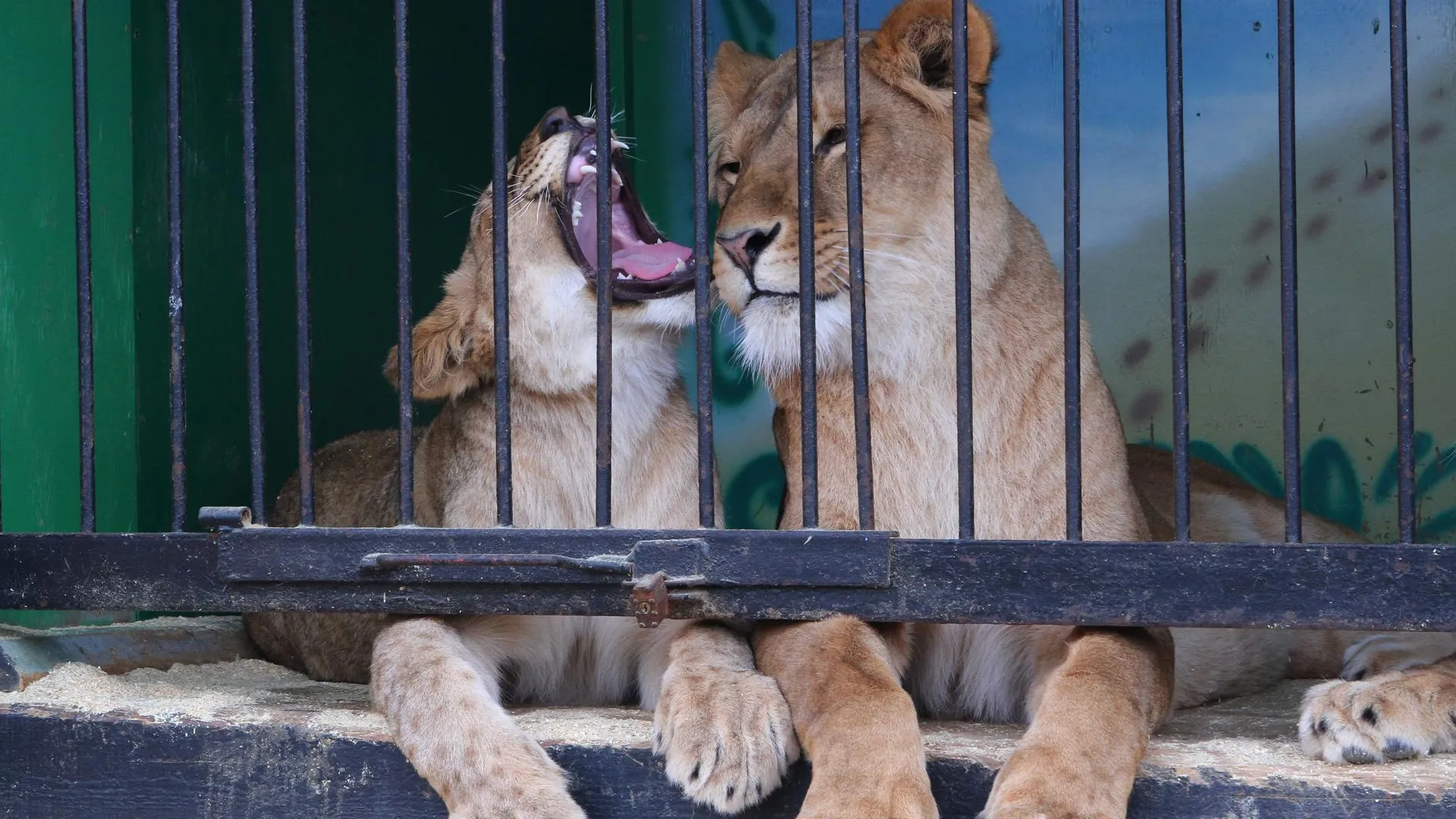 медиасток.рф