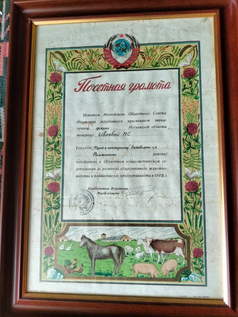 Фото: МАУ «МФЦ «Дмитровский».