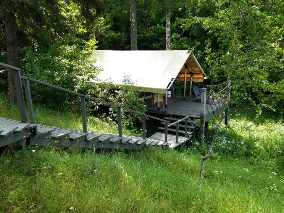 Фото: МедиаБанк Подмосковья/Ольга Шеметова