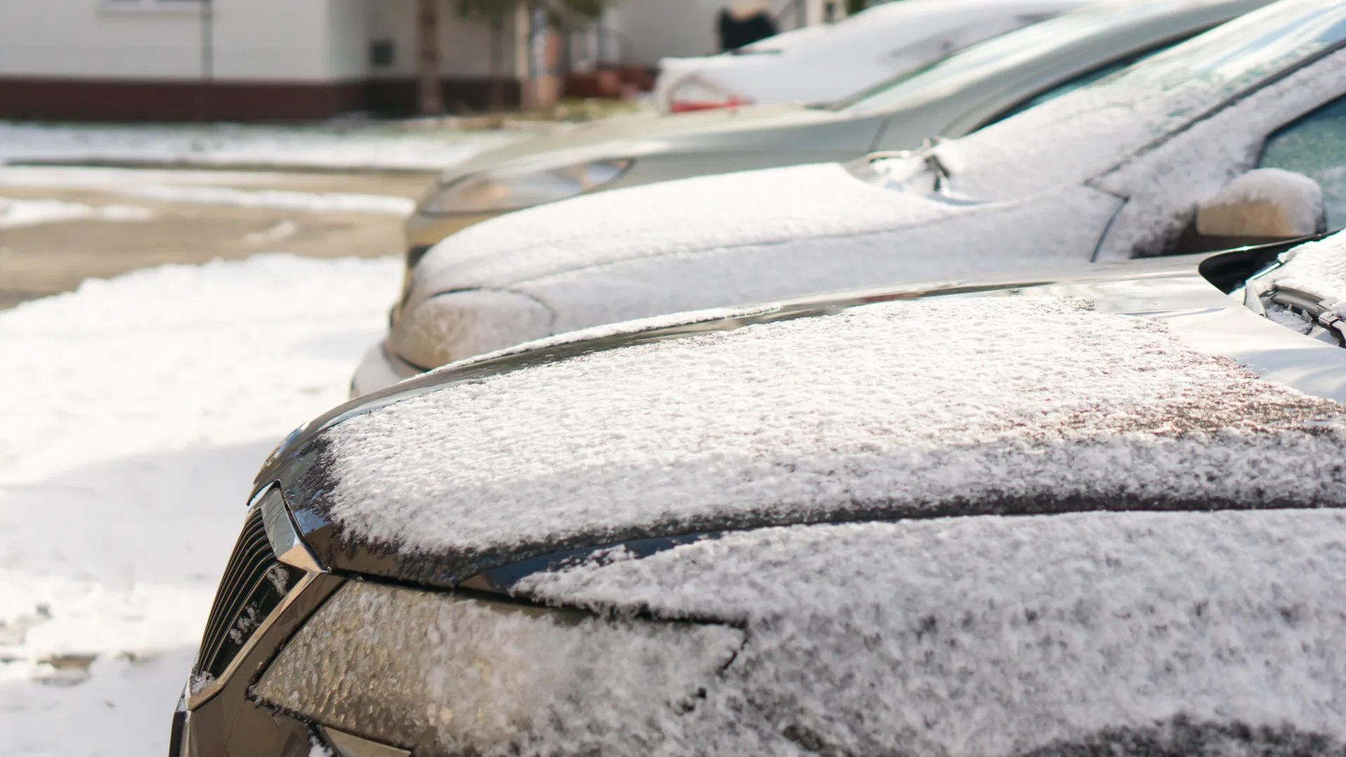 Фото: freepik.com