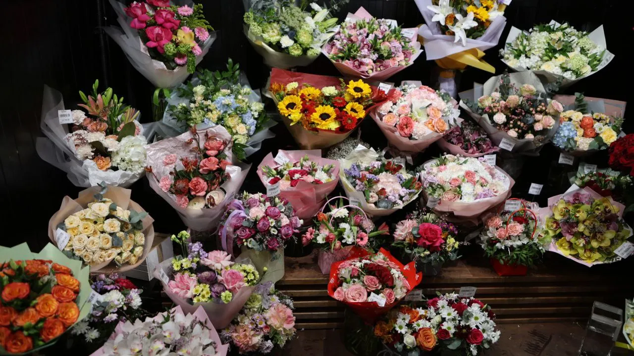 REGIONS/Роман Малышенко