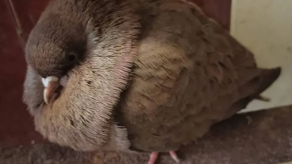 Фото: Татьяна Горохова