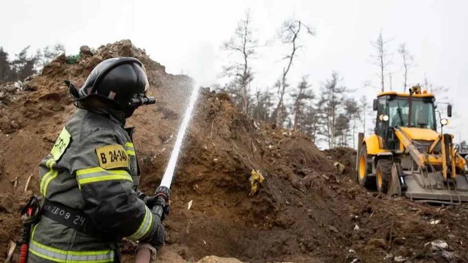 Фото: Министерство экологии и природопользования Московской области