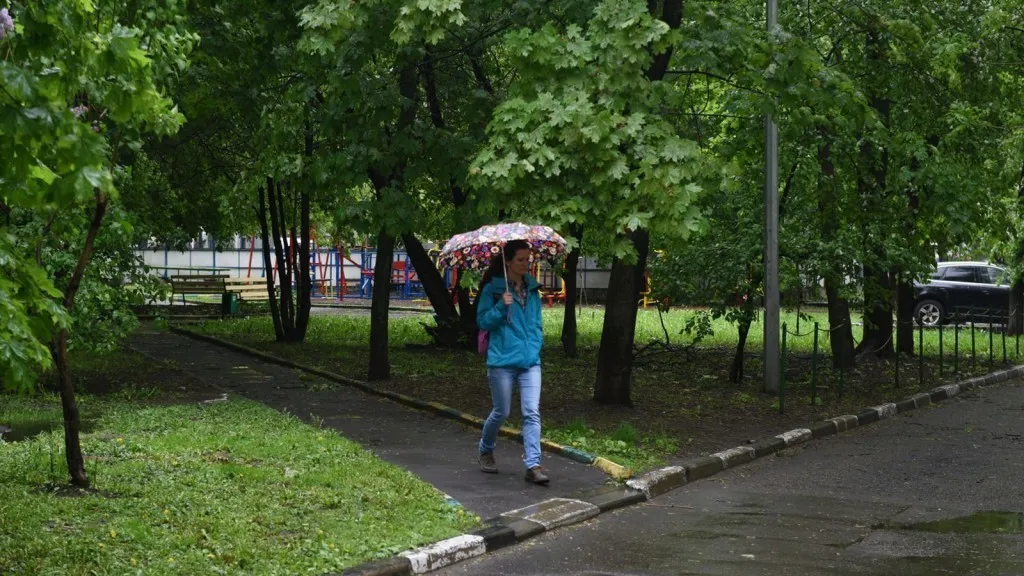 Фото: медиасток.рф