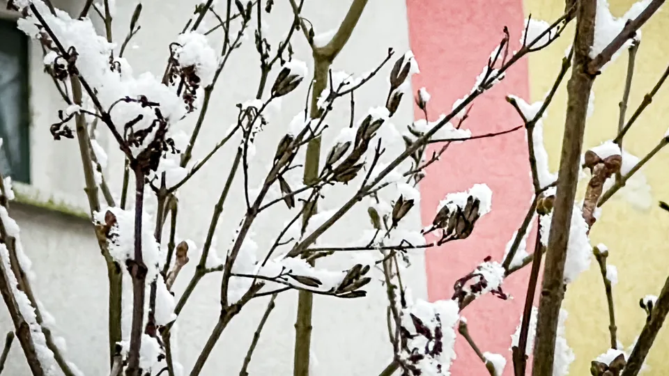 Фото: МедиаБанк Подмосковья/Данила Кирьянов