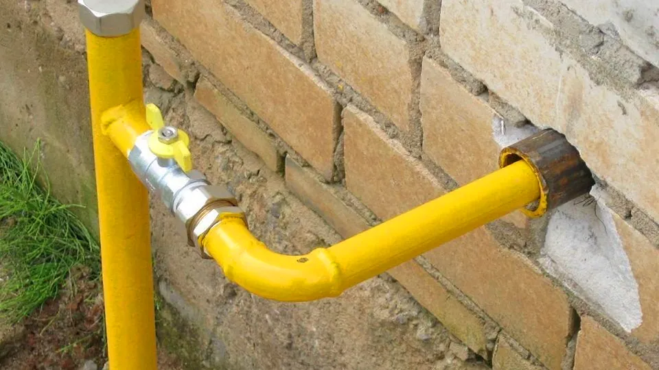 Фото: МедиаБанк Подмосковья/Хавива Фонина