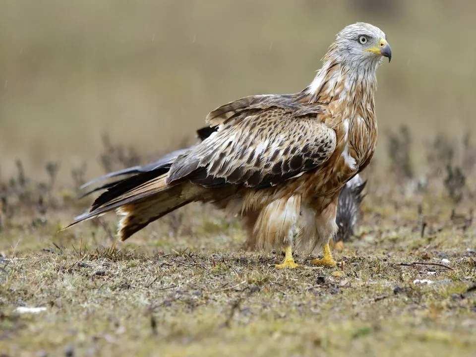 Фото: freepik.com&nbsp;