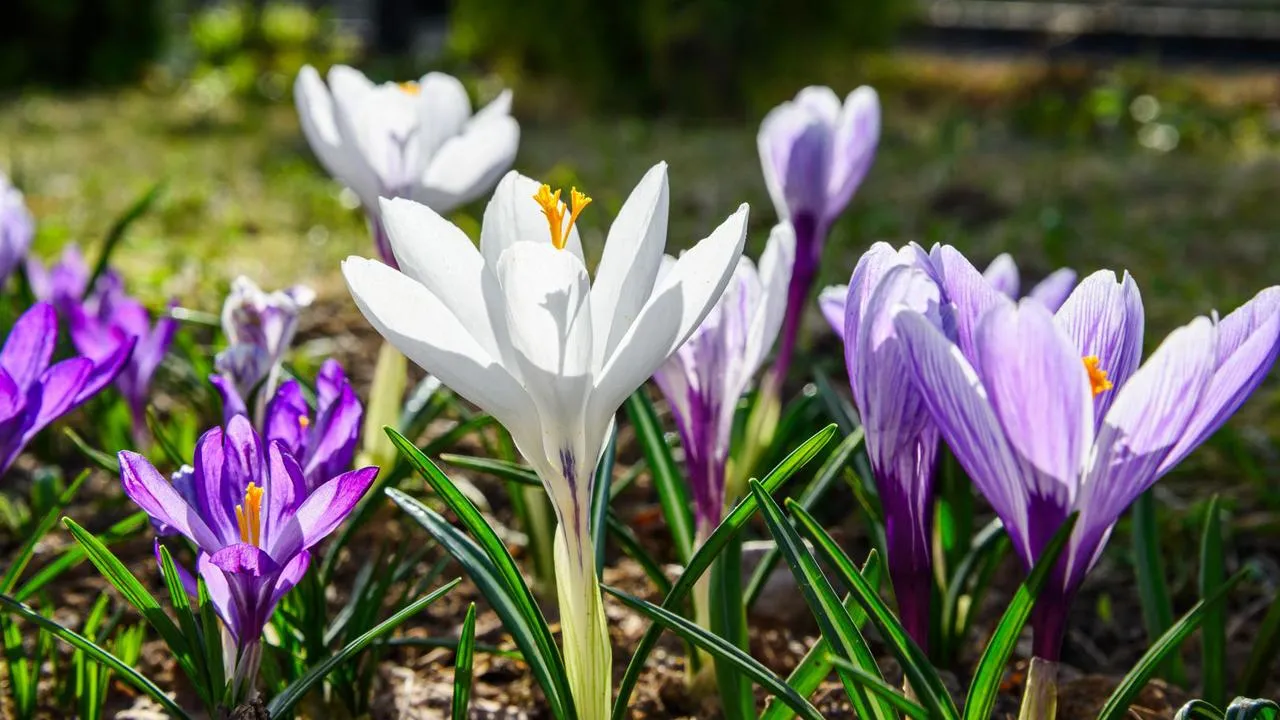 медиасток.рф