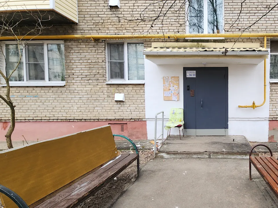 Фото: Хавива Фонина