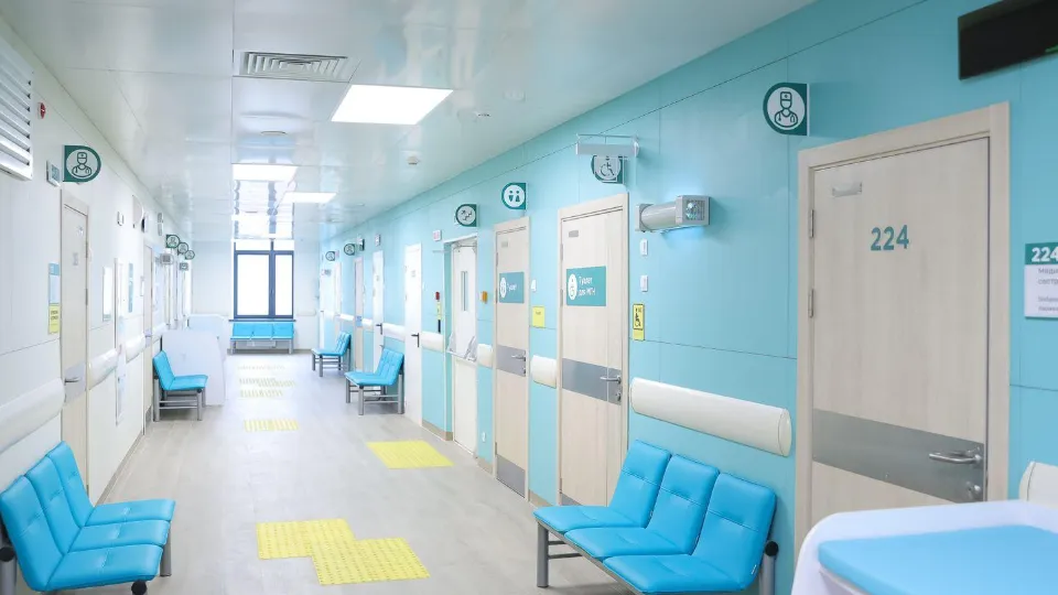 Фото: пресс-служба губернатора и правительства Московской области