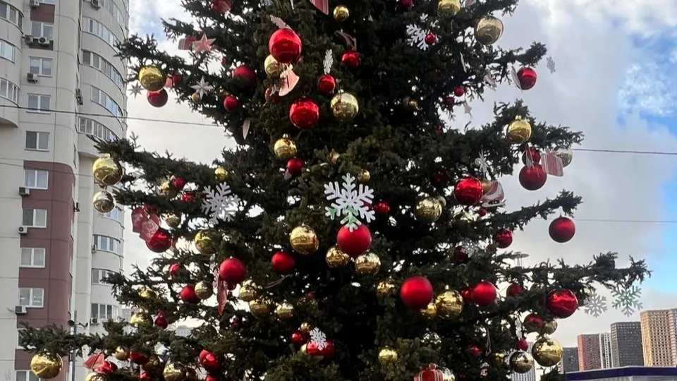 Фото: REGIONS/Елена Фурман