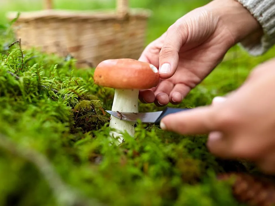 Фото: istockphoto.com