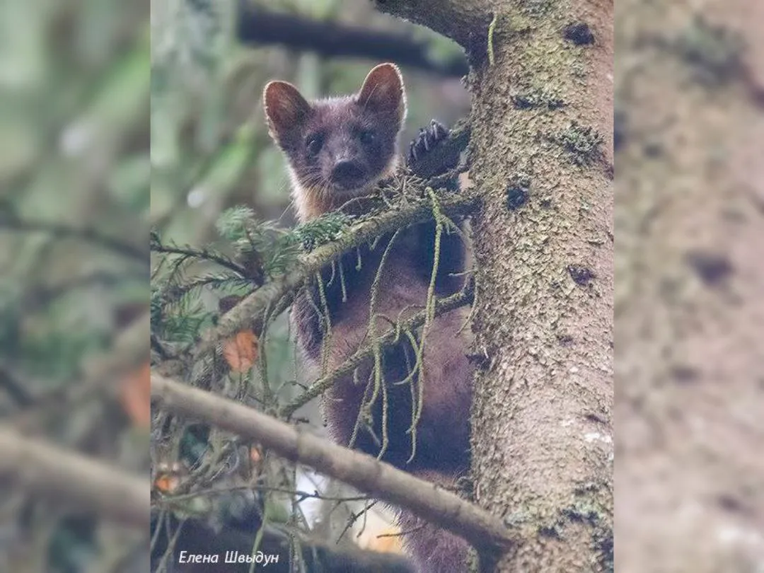 Фото: личный архив Елены Швыдун