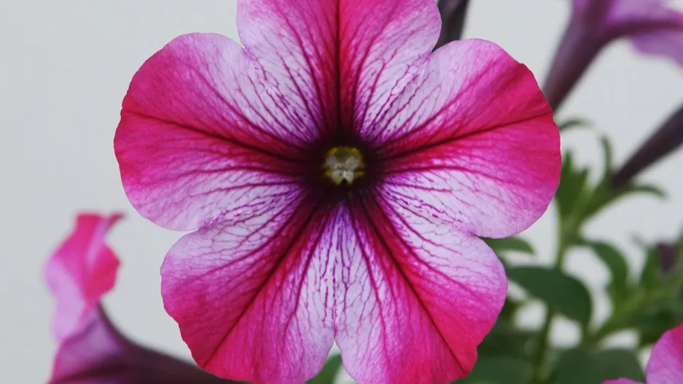 Фото: REGIONS/Сгенерировано нейросетью