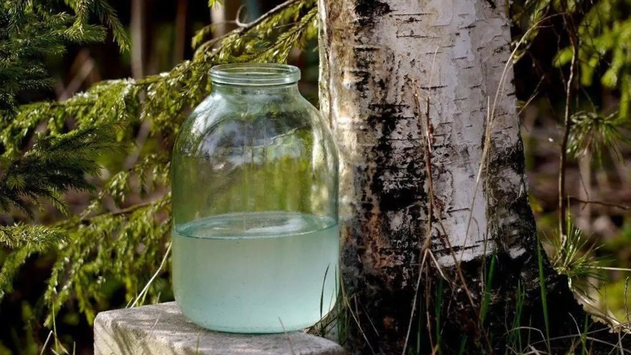 Комитет лесного хозяйства Московской области