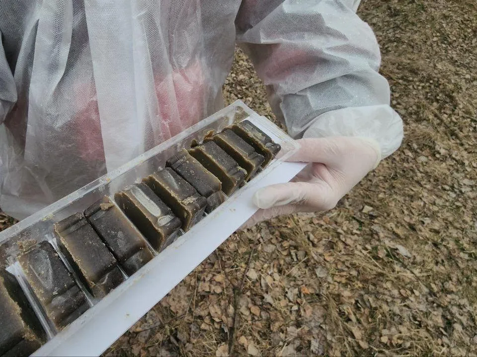 Фото: МедиаБанк Подмосковья/Юлия Скавронова