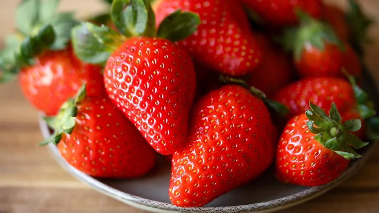 istockphoto.com/Sunlight7