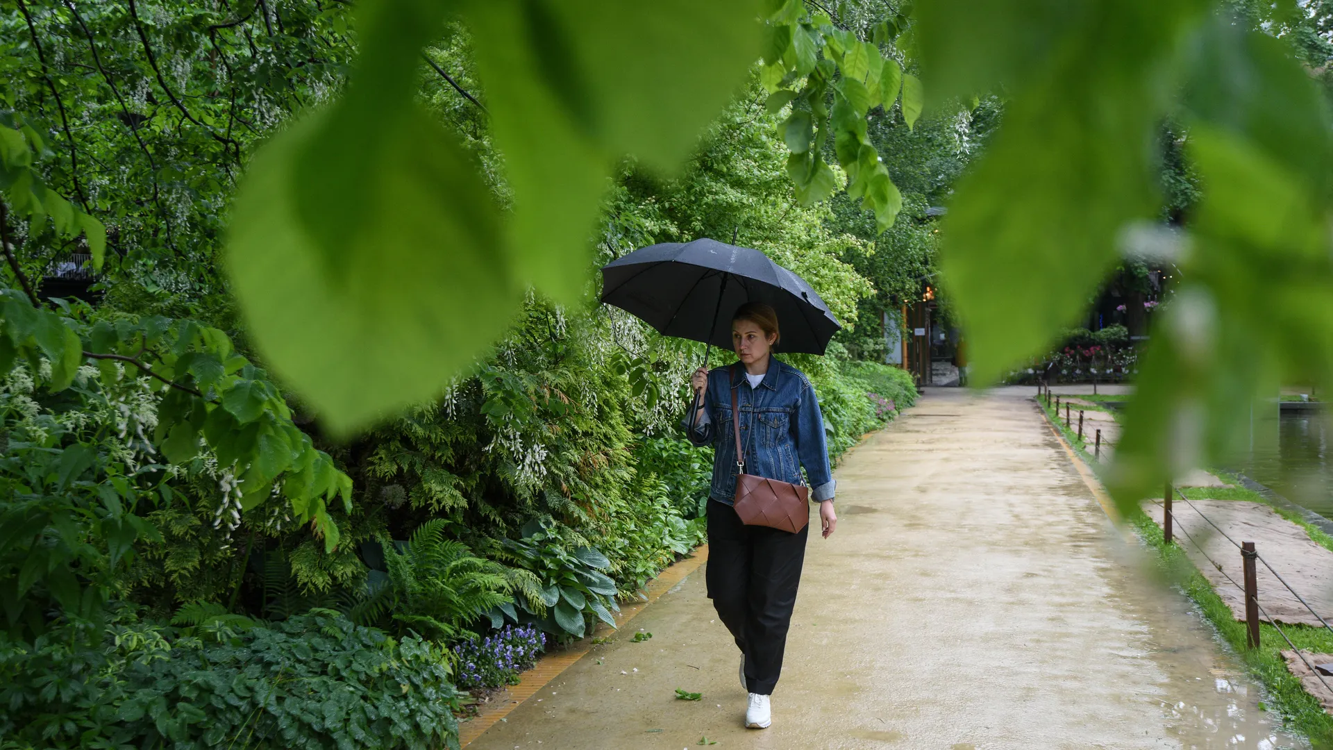 медиасток.рф