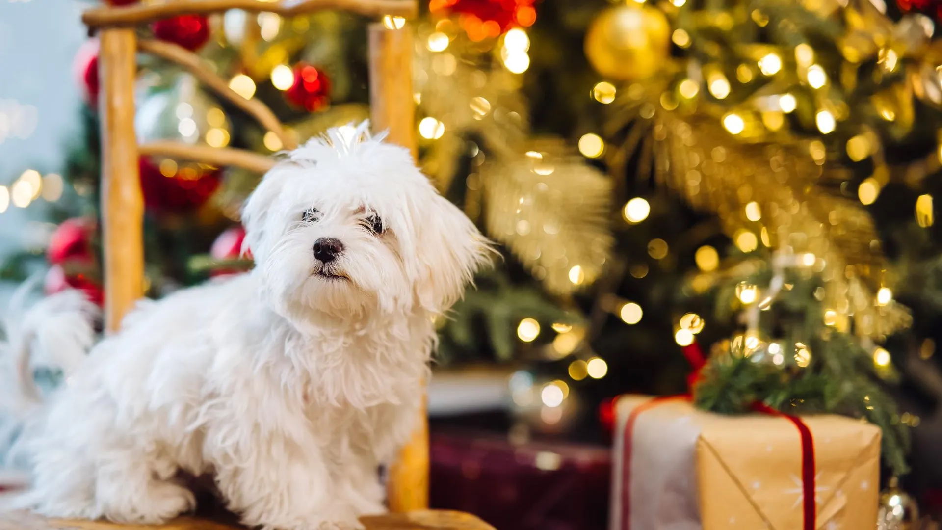 Изображение от teksomolika на Freepik