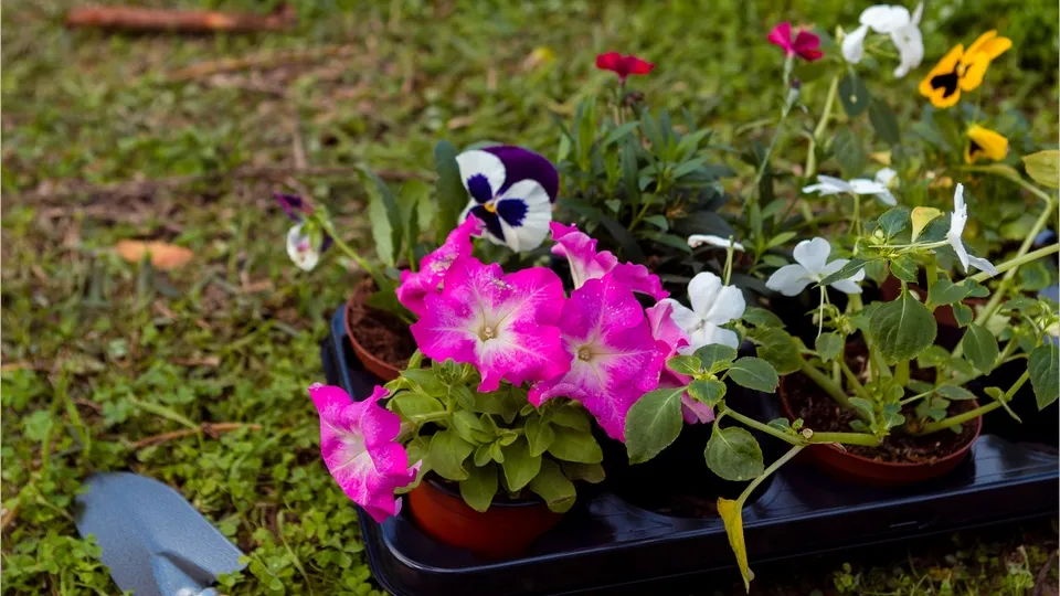 Фото: freepik.com