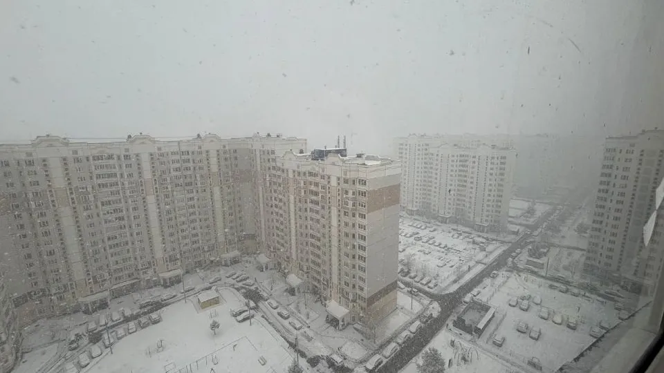 Фото: Василиса Астахова