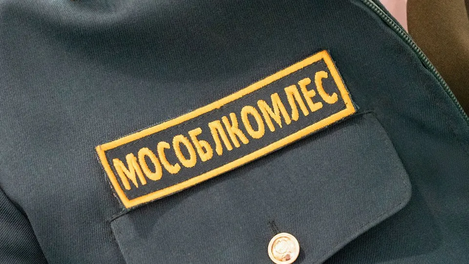 Фото: медиасток.рф