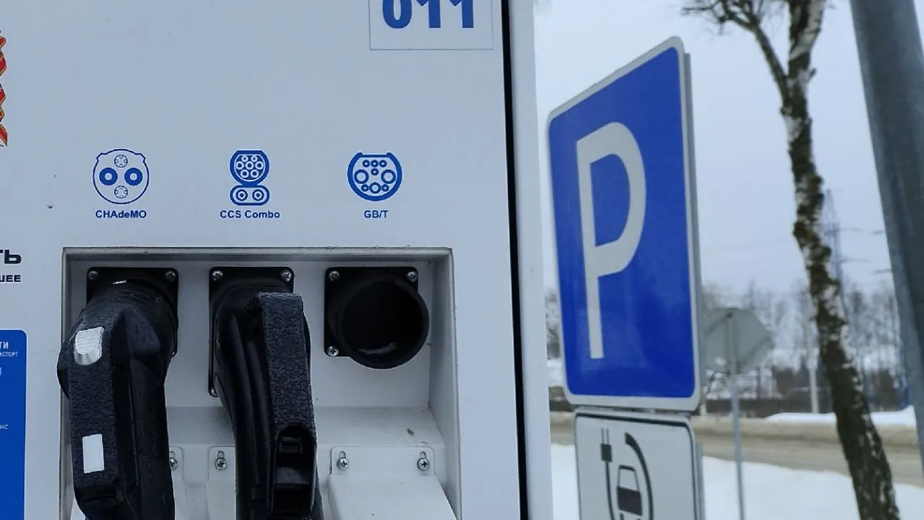 Фото: МедиаБанк Подмосковья/Ольга Антонова