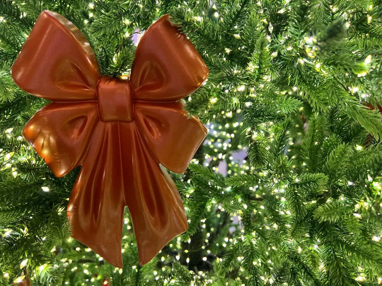 Фото: REGIONS/Елена Фурман