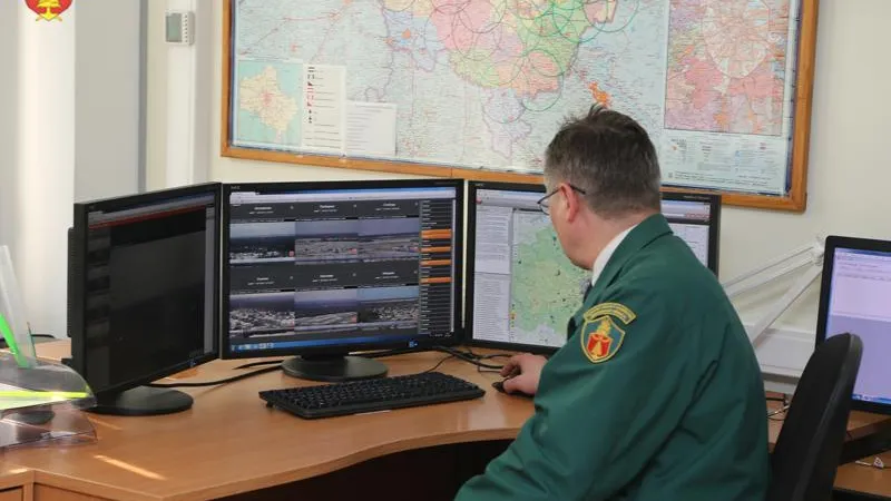 Все леса Подмосковья охватили системой видеомониторинга 