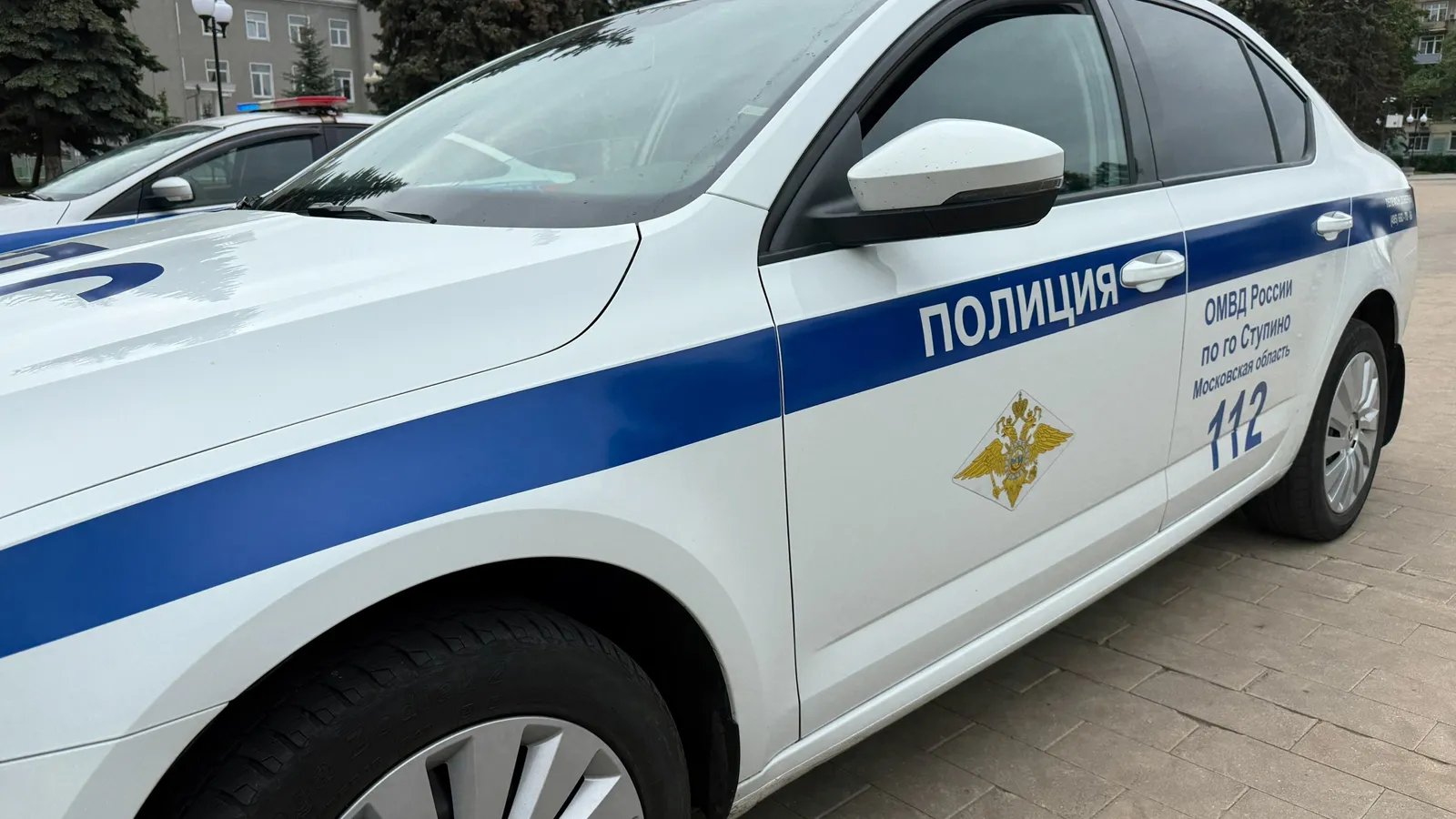 Фото: пресс-служба ОМВД России по г.о. Ступино