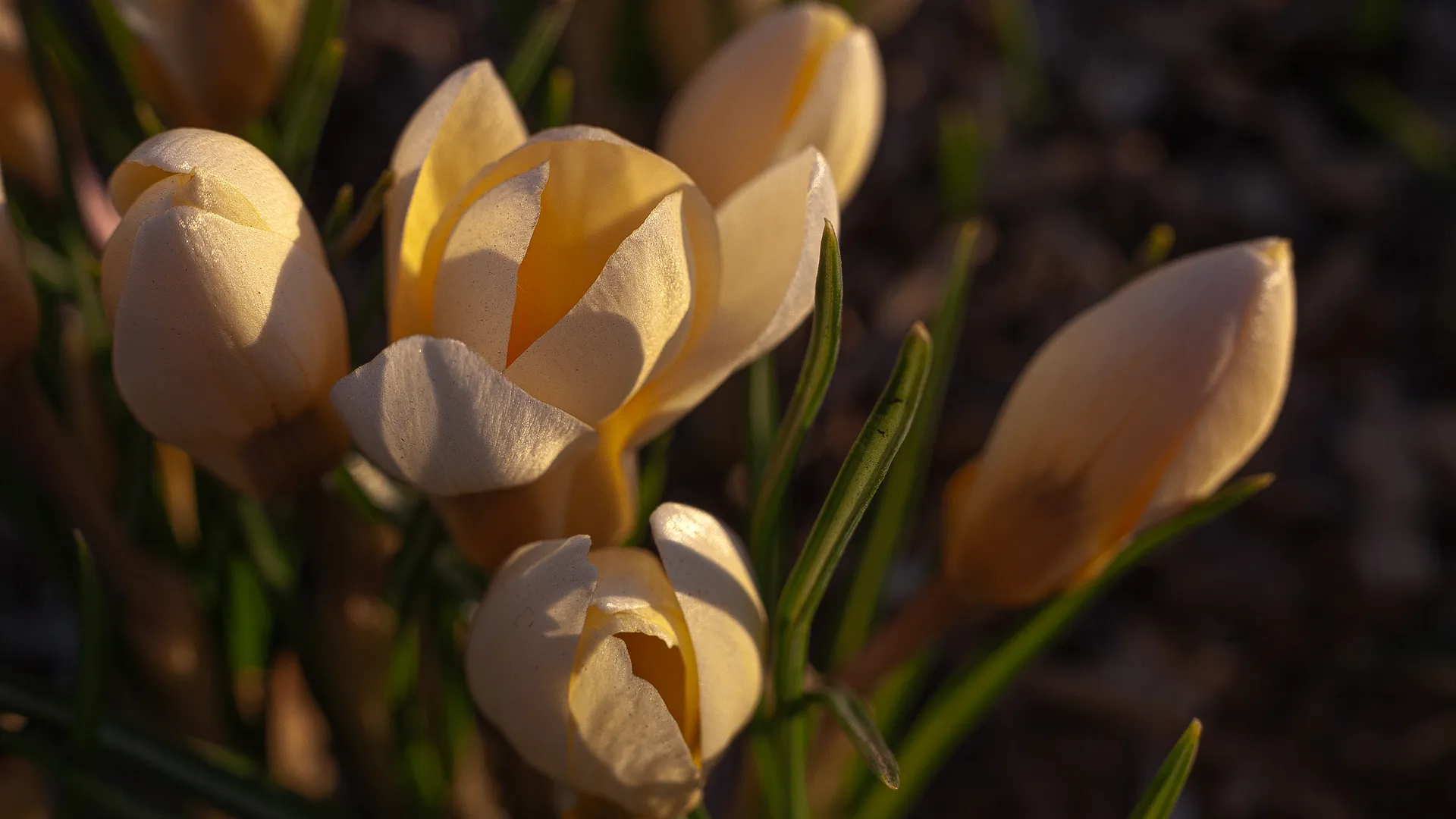 медиасток.рф